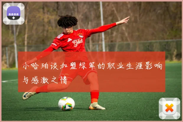 小哈珀谈加盟绿军的职业生涯影响与感激之情